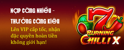 Max79 Club - Đỉnh Cao Game Bài